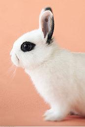 XGP玩家无法体验《穿越火线X》完整战役模式